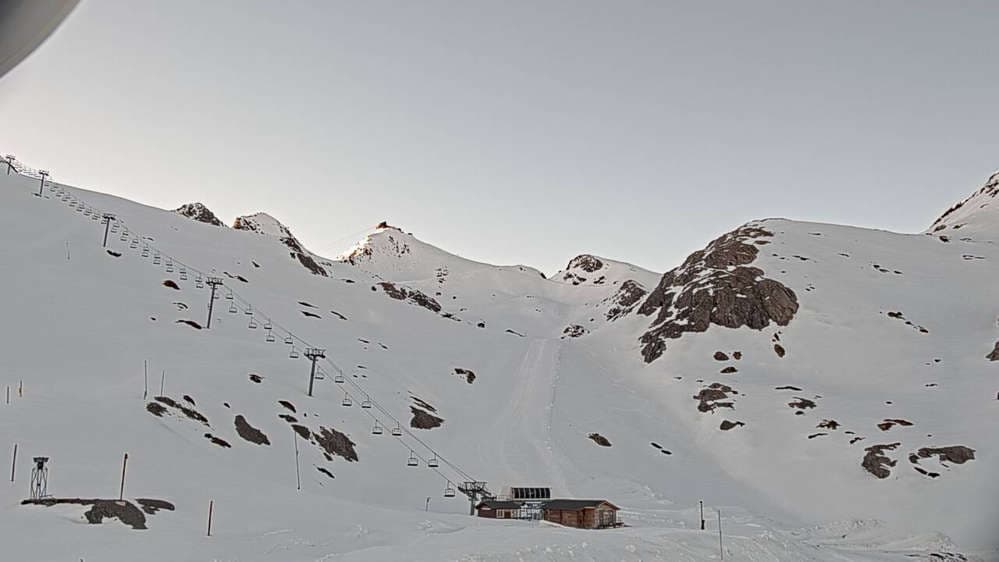 Live Herpie - 2735m