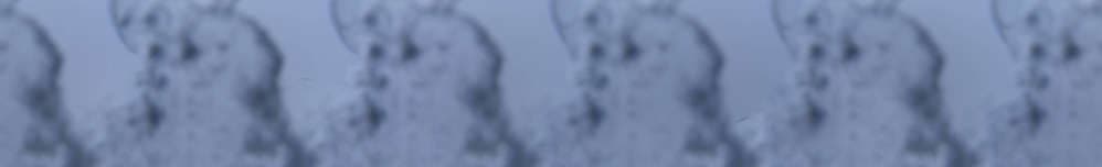 Les 2 Alpes - Grand domaine -  Les Crêtes 2100 mt