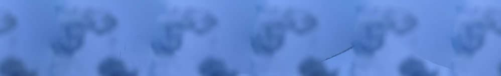 Les 2 Alpes - Grand domaine -  Les Crêtes 2100 mt