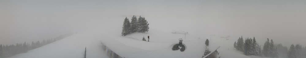 Grindelwald - Bussalp