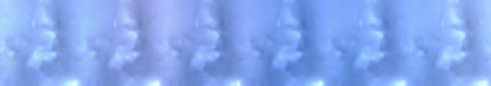 Grindelwald Wengen - Jungfraujoch Top of Europe