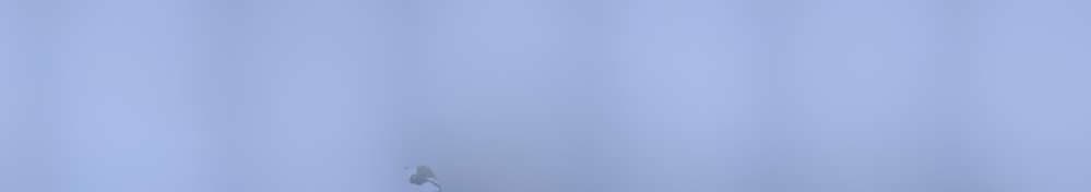 Grindelwald Wengen - Jungfraujoch Top of Europe