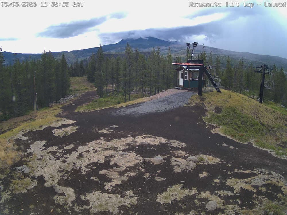 Hoodoo Manzanita Chair