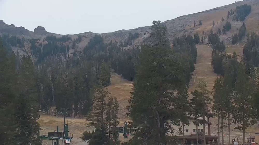 Red Cliffs Cam