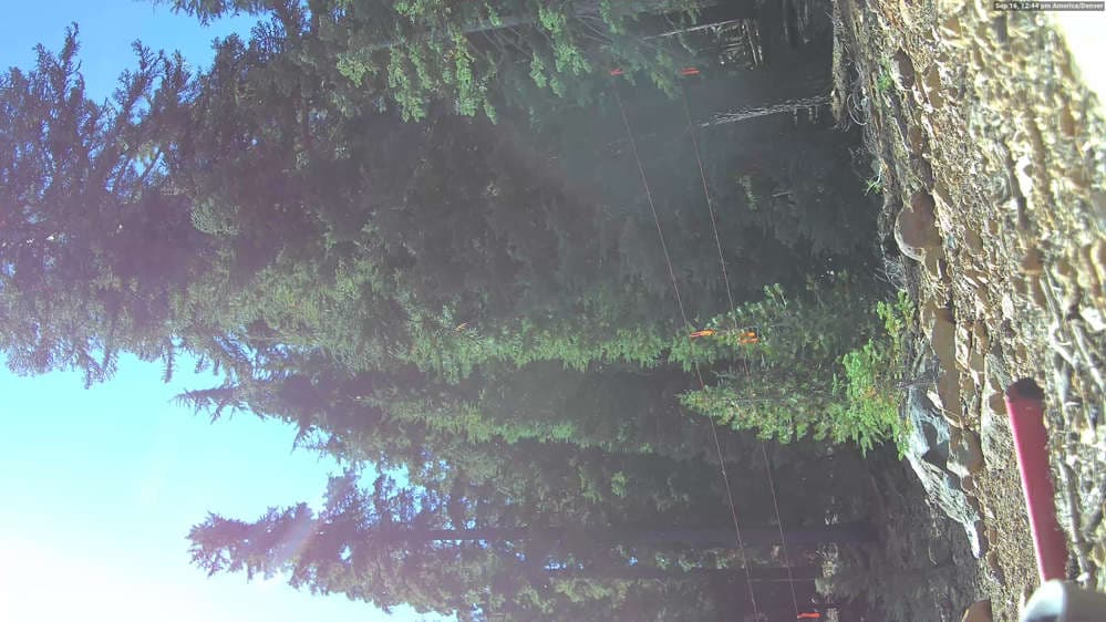 Northstar Snow Stake
