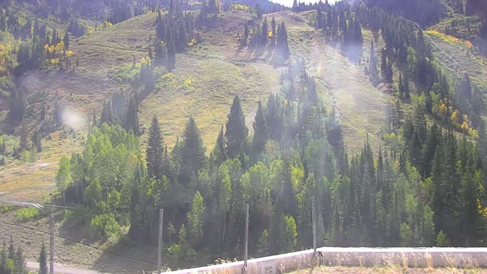 Snowbird - Peruvian Gulch