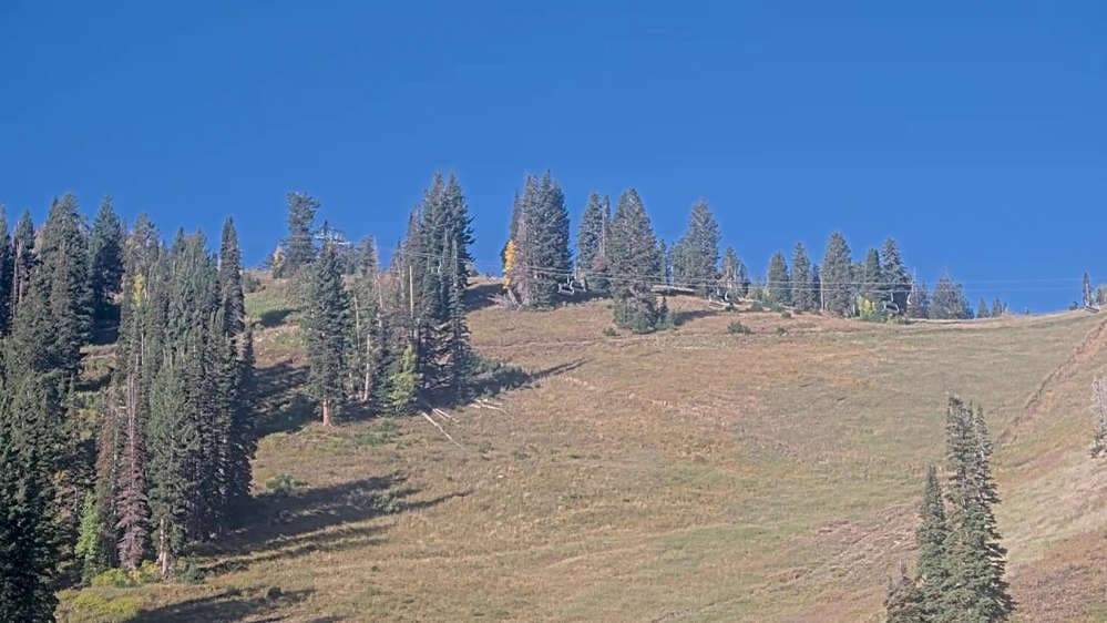 Solitude: Sunshine Bowl Cam